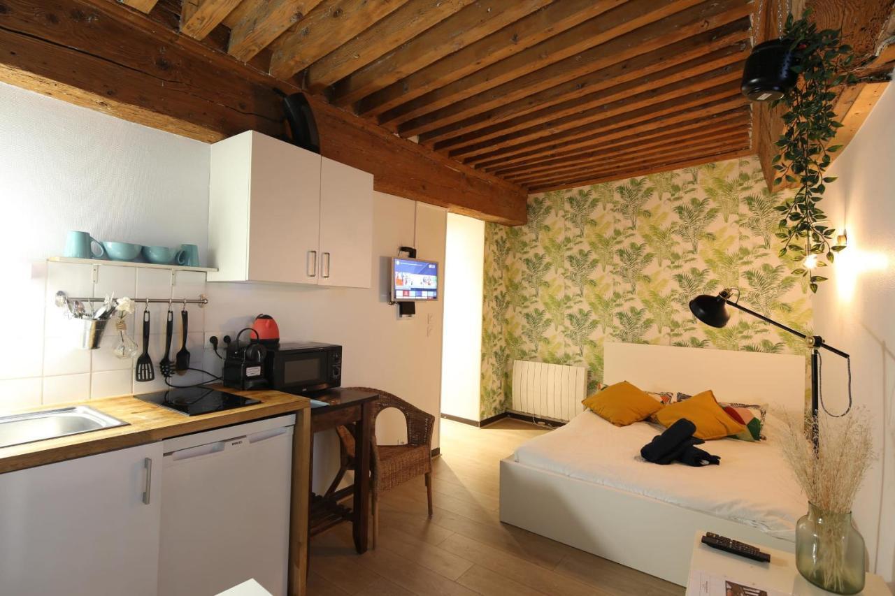 Charming Studio Centre Ville De Lyon Exteriör bild